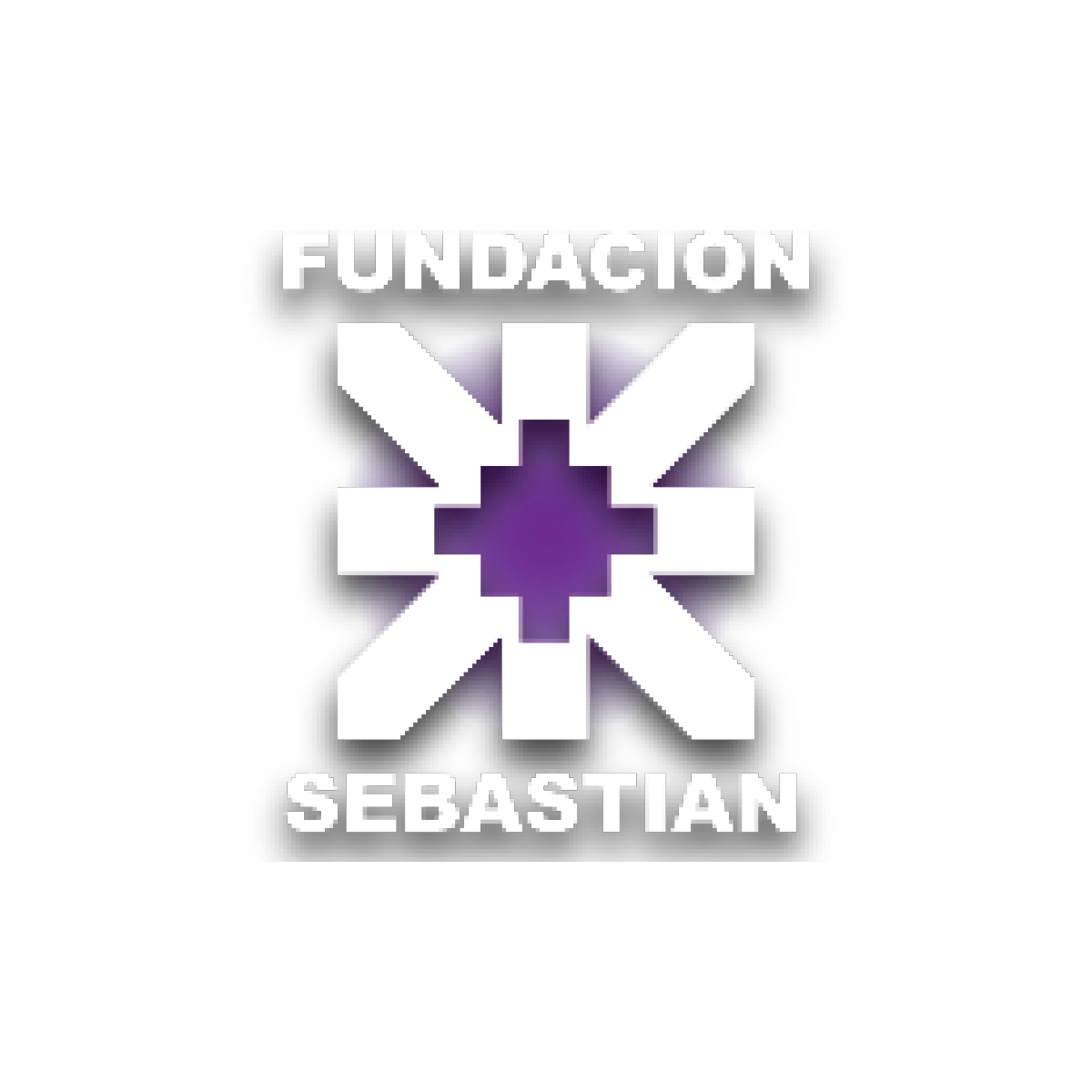 fundacion sebastian